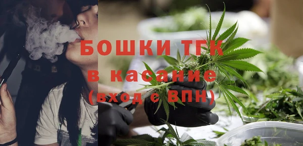 ГАЛЛЮЦИНОГЕННЫЕ ГРИБЫ Арсеньев